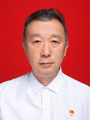 飞速体育平台